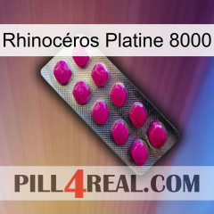 Rhinocéros Platine 8000 09